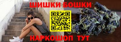твердый Новозыбков