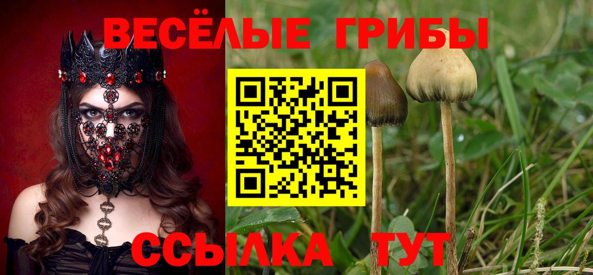 Галлюциногенные грибы Magic Shrooms  Вход с VPN  Советская Гавань  Псилоцибиновые грибы Magic Shrooms 