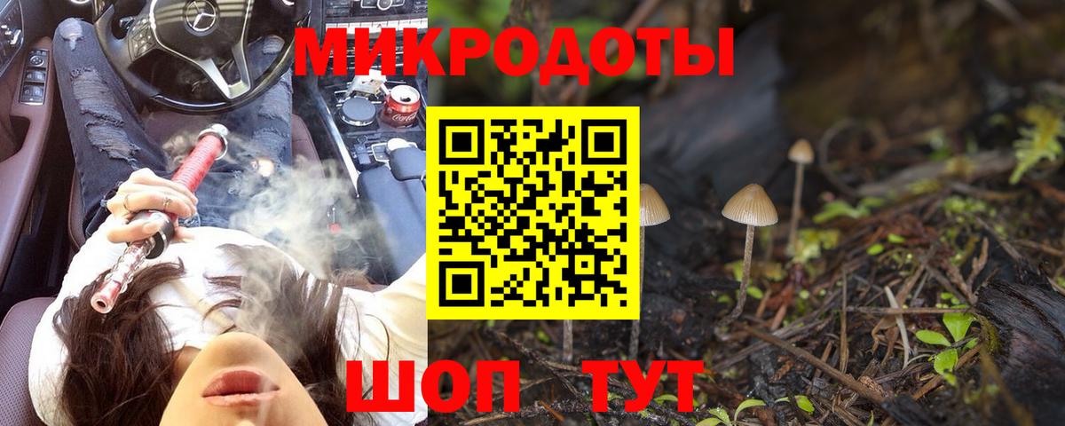 Псилоцибиновые грибы GOLDEN TEACHER Советская Гавань